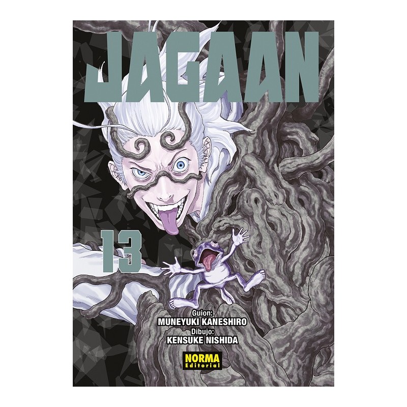 JAGAAN Nº13