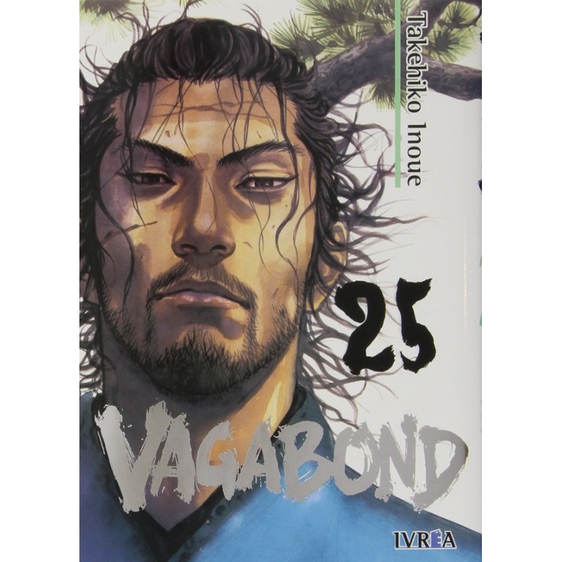 VAGABOND Nº25