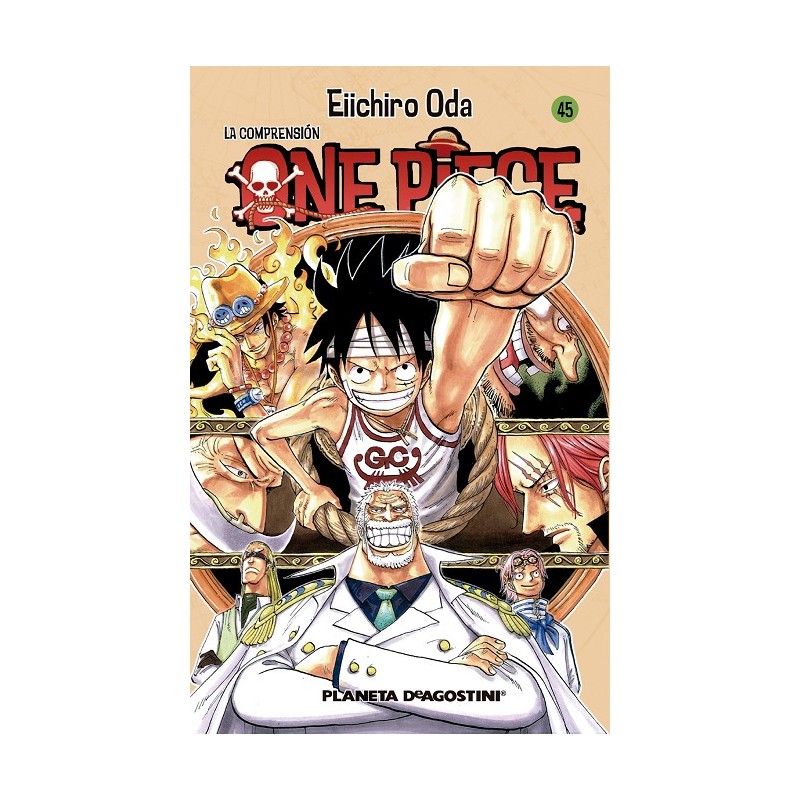 ONE PIECE Nº45