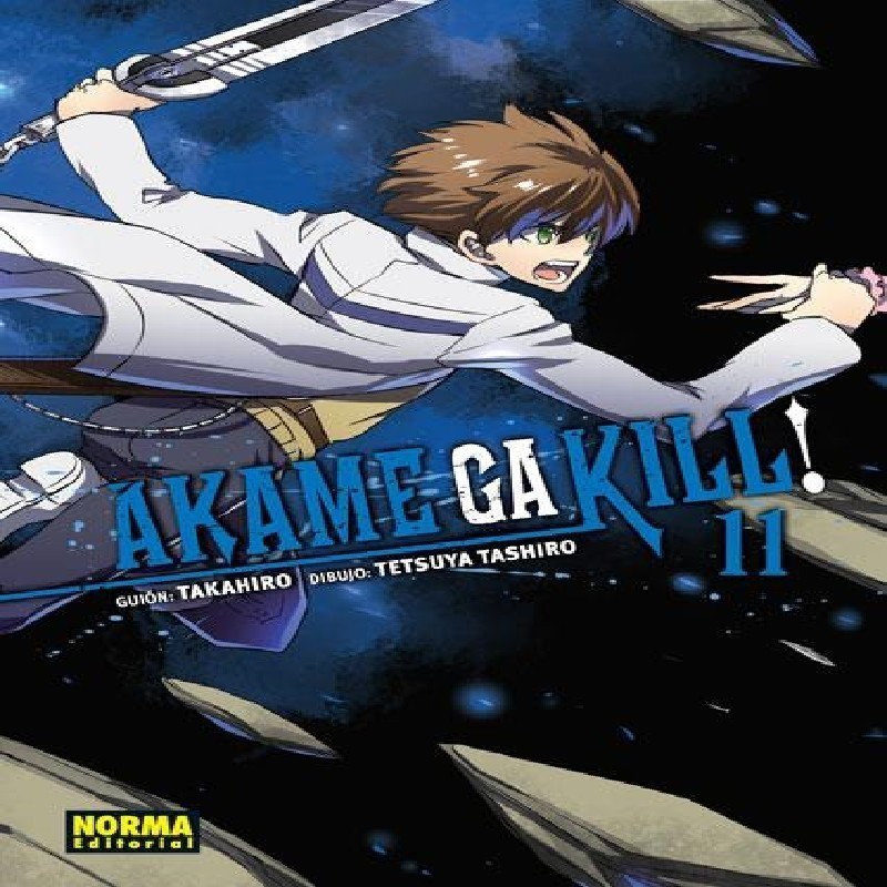 AKAME GA KILL! Nº11