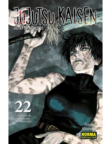 JUJUTSU KAISEN Nº22