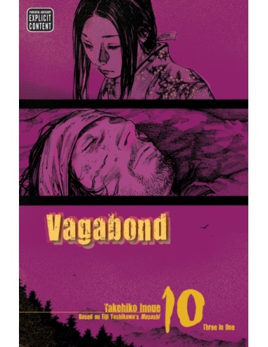 VAGABOND (VIZBIG EDITION) Nº10