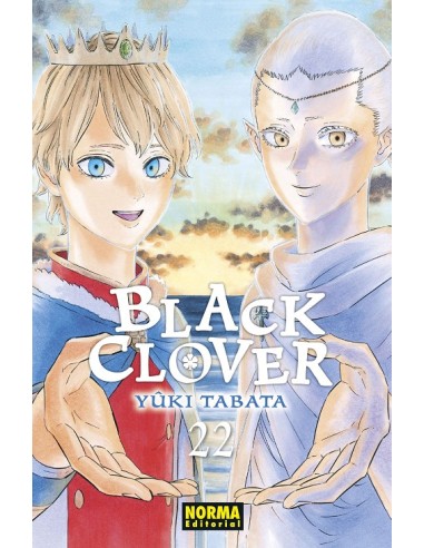 BLACK CLOVER Nº22