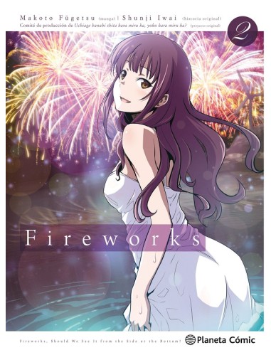 FIREWORKS Nº02