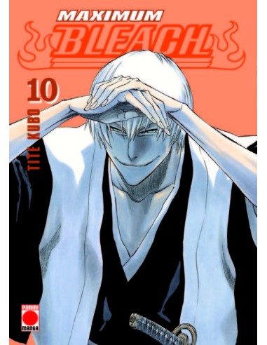 BLEACH MAXIMUM VOLUMEN 10