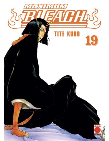 BLEACH MAXIMUM VOLUMEN 19