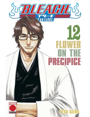 BLEACH BESTSELLER Nº12