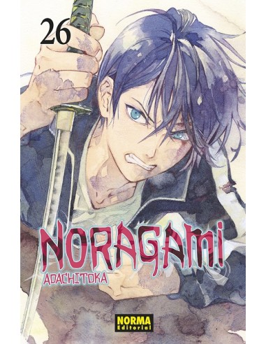 NORAGAMI Nº26