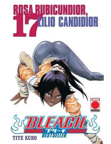 BLEACH BESTSELLER Nº17