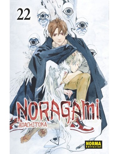 NORAGAMI Nº22