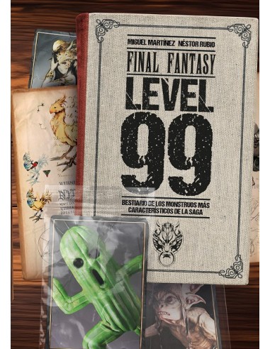 FINAL FANTASY: LEVEL 99