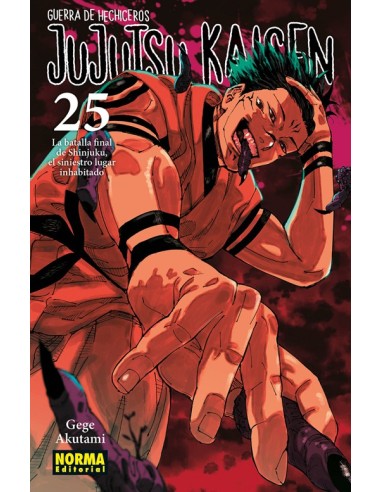 JUJUTSU KAISEN Nº25