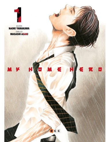 MY HOME HERO Nº01