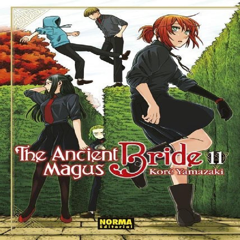 ANCIENT MAGUS BRIDE, THE Nº11