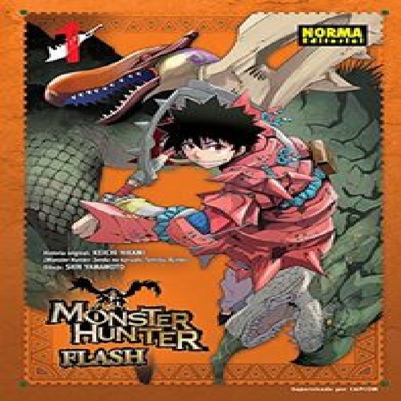 MONSTER HUNTER FLASH Nº01