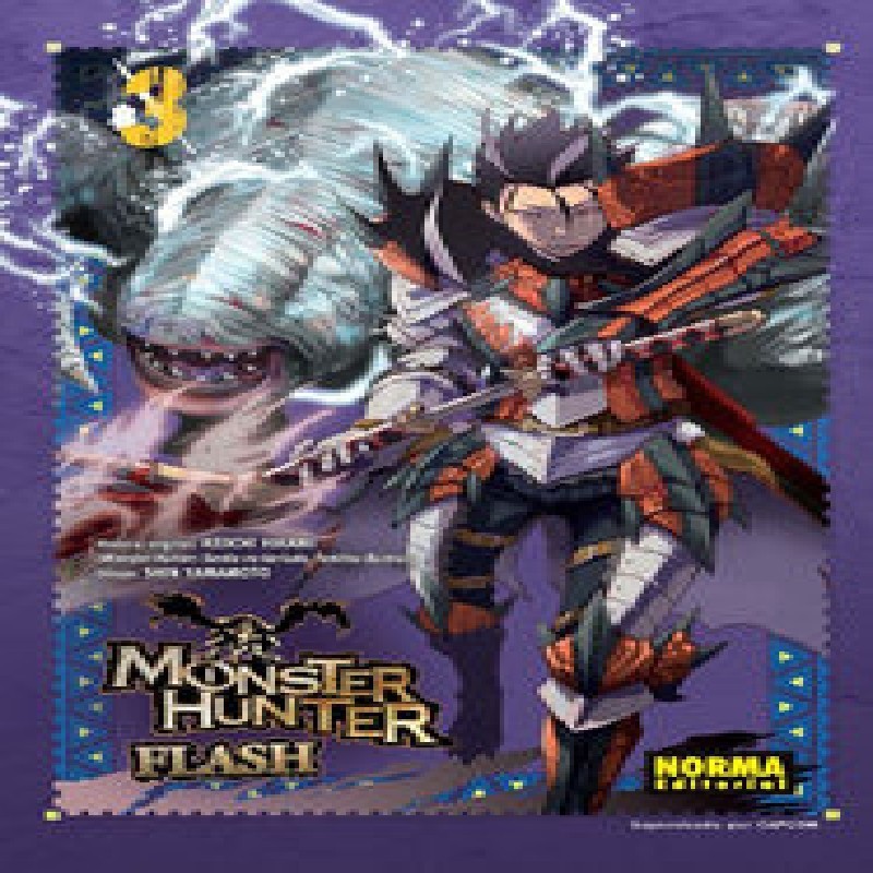 MONSTER HUNTER FLASH Nº03