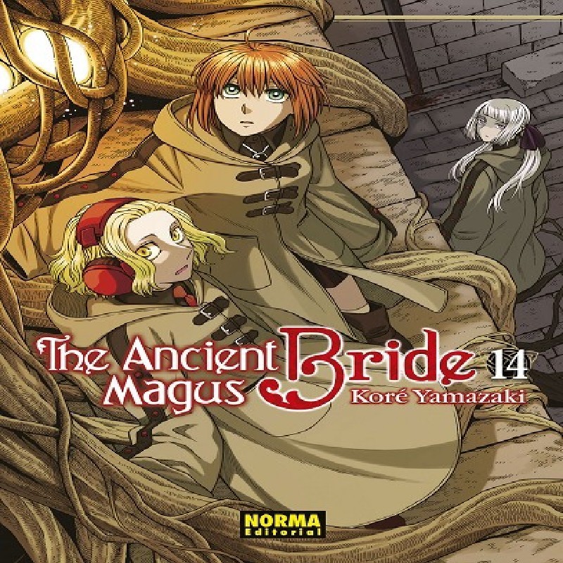 ANCIENT MAGUS BRIDE, THE Nº14