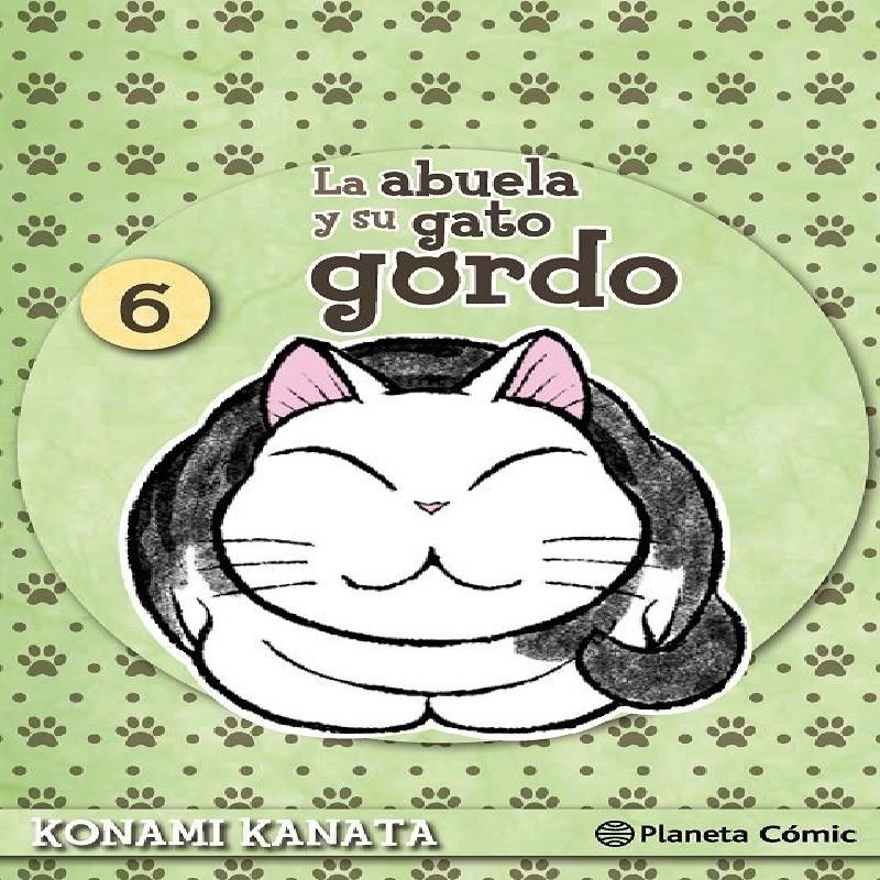 ABUELA Y SU GATO GORDO Nº06