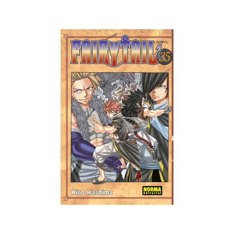 FAIRY TAIL Nº35