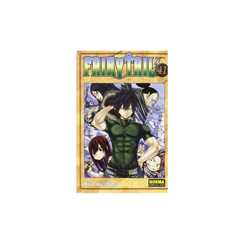 FAIRY TAIL Nº41