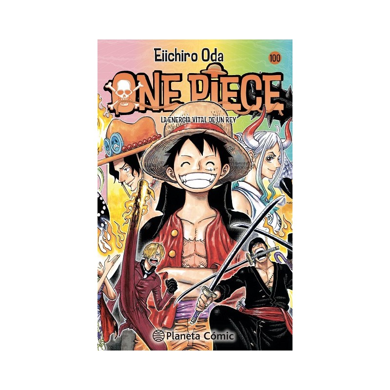 ONE PIECE Nº100