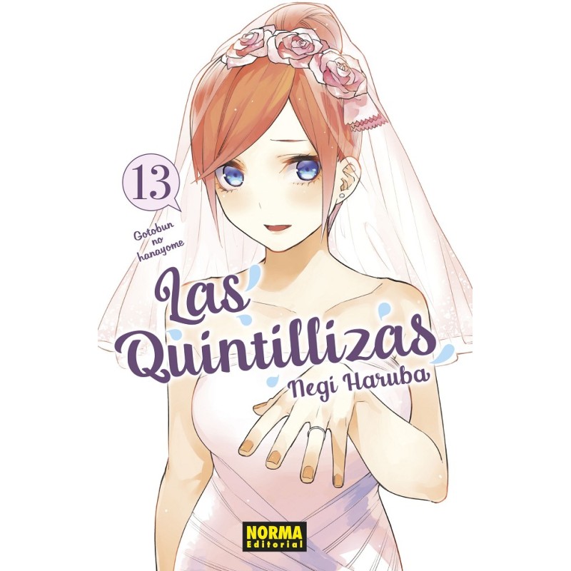 LAS QUINTILLIZAS Nº13