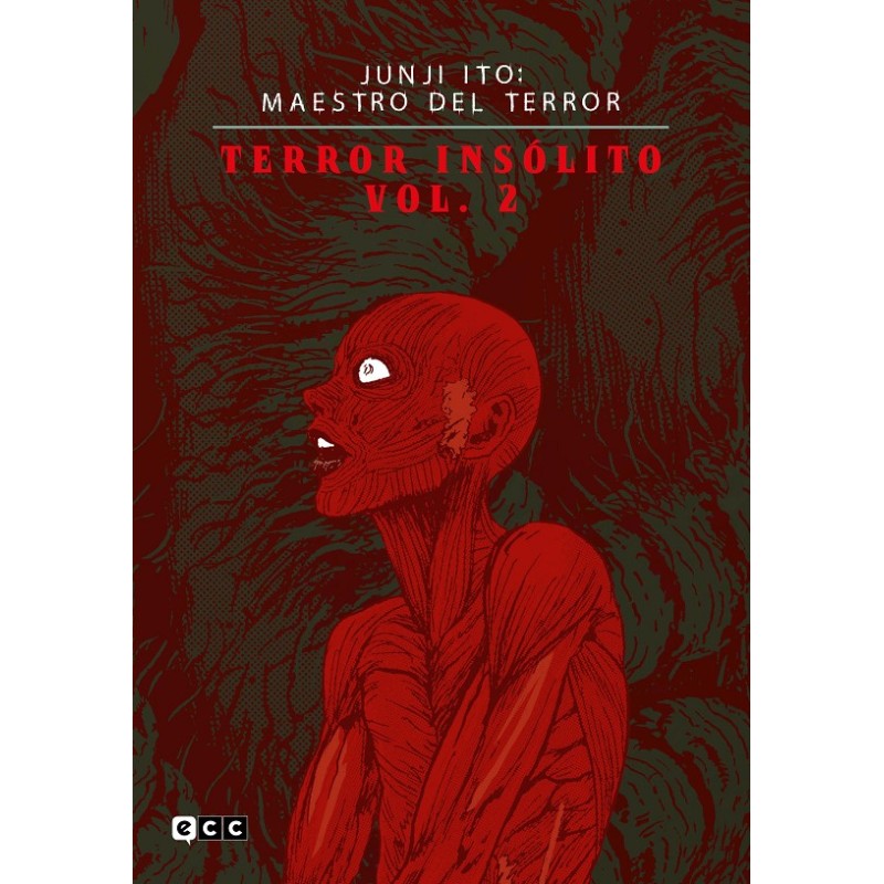 JUNJI ITO: MAESTRO DEL TERROR, TERROR INSOLITO VOL.2