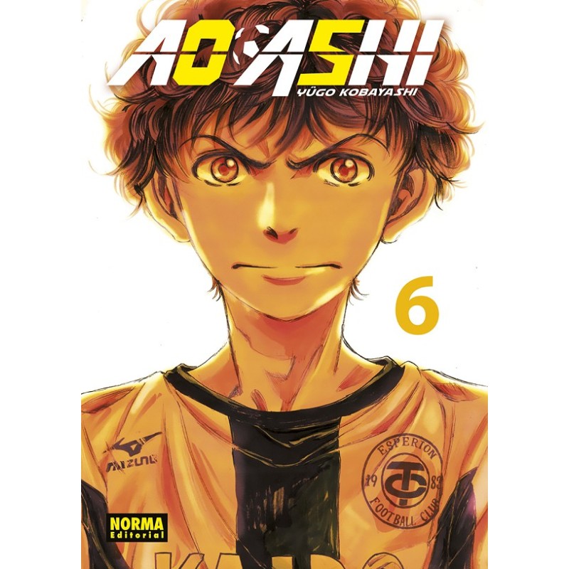 AO ASHI Nº06